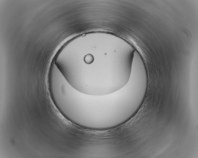 X0000112951140200909211149