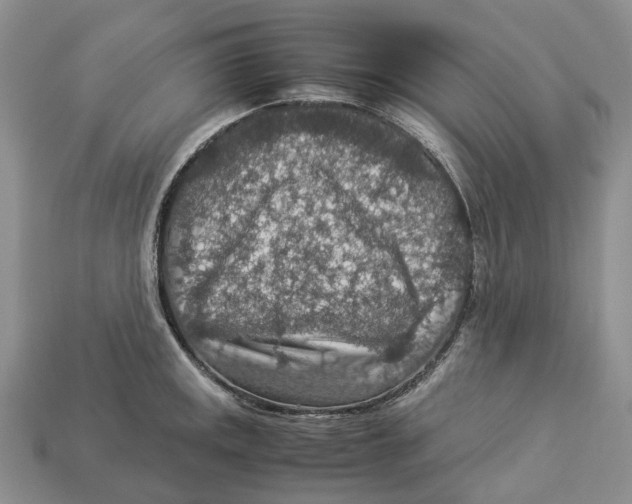 X0000112951141200909211149