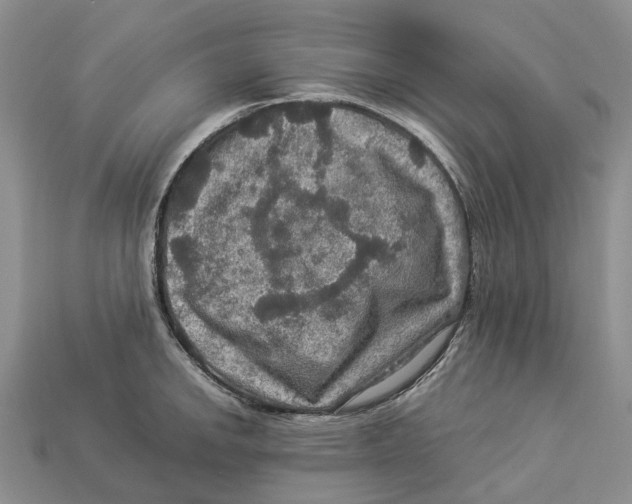 X0000112951142200909211149