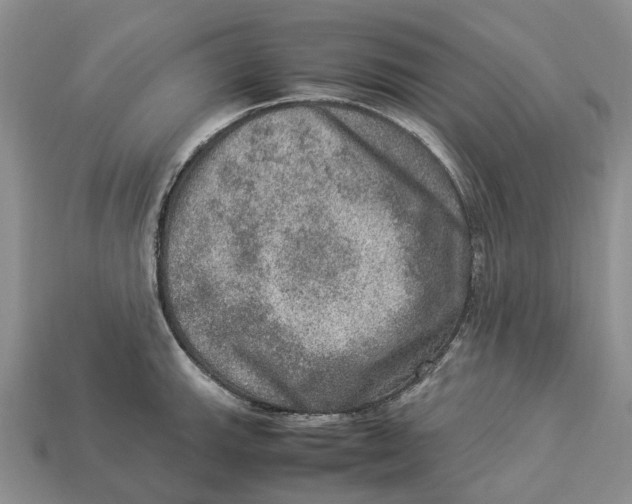 X0000112951143200909211149