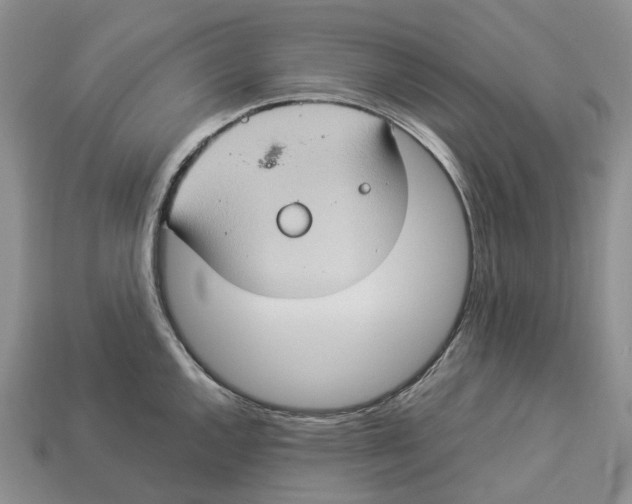 X0000112951144200909211149