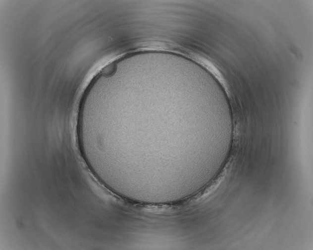 X0000112951146200909211149