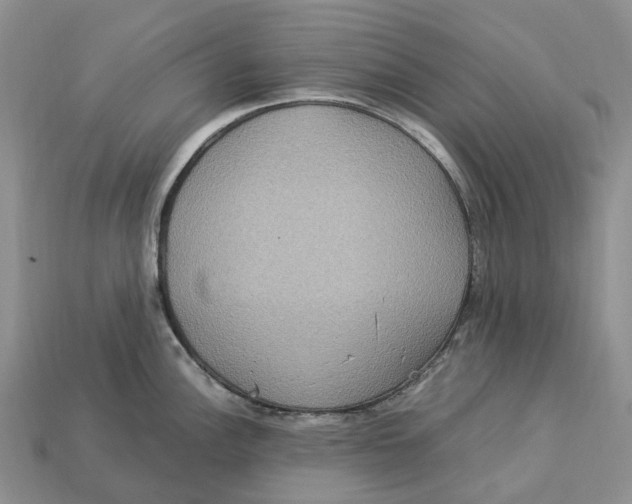 X0000112951148200909211149