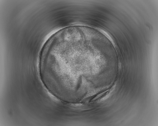 X0000112951149200909211149