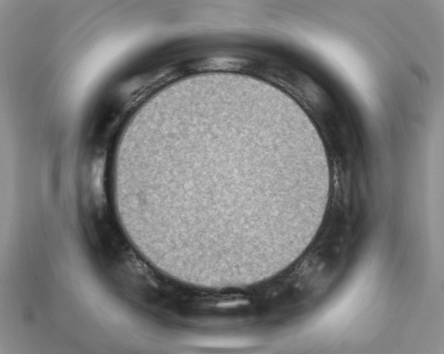 X0000112951150200909211149