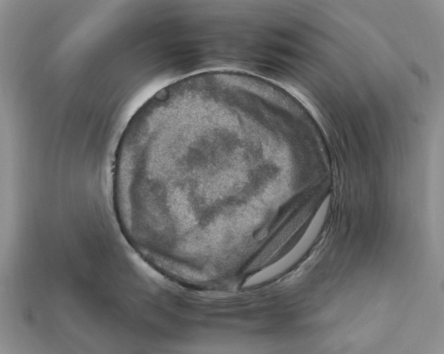 X0000112951151200909211149