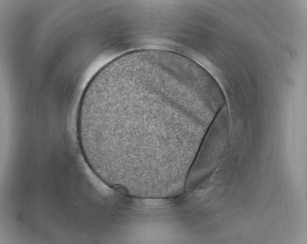 X0000112951152200909211149