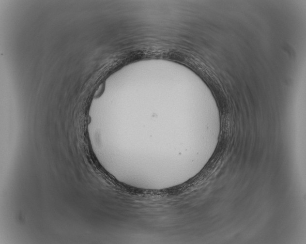 X0000112951153200909211148