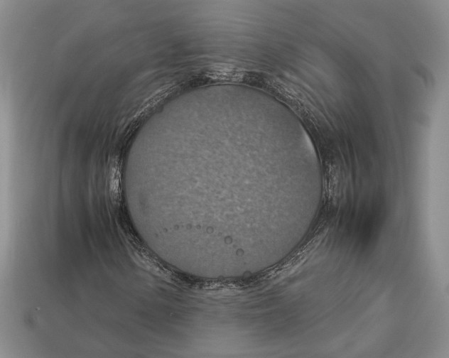 X0000112951154200909211148