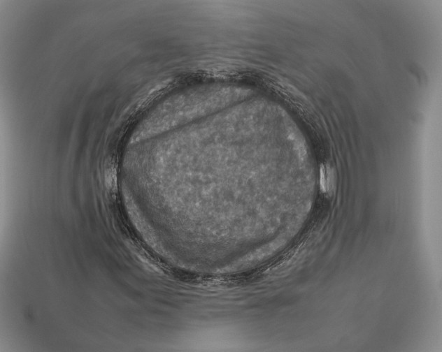 X0000112951155200909211148