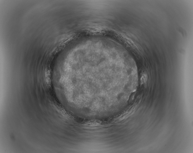 X0000112951156200909211148