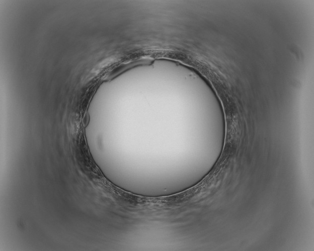 X0000112951157200909211148