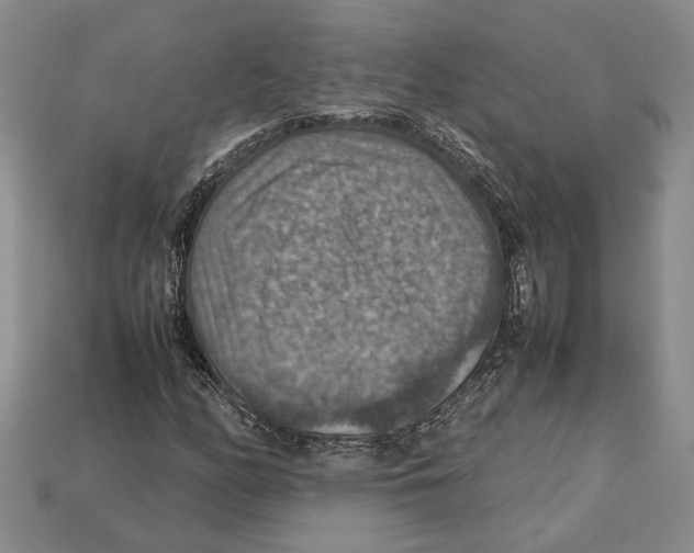 X0000112951158200909211148