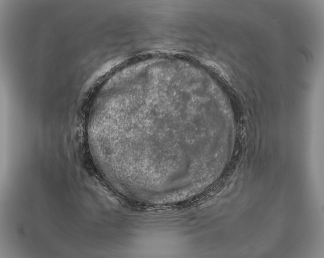 X0000112951159200909211148