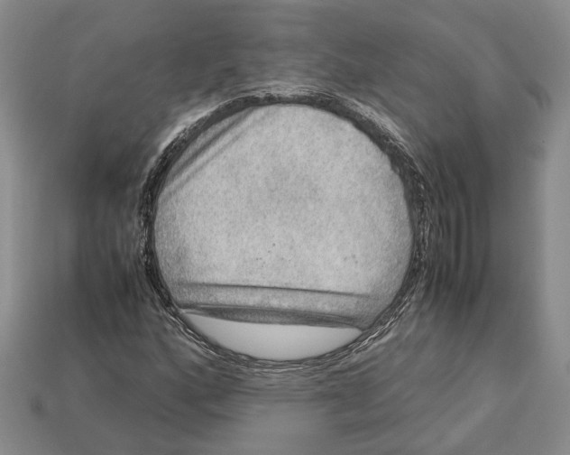 X0000112951160200909211148