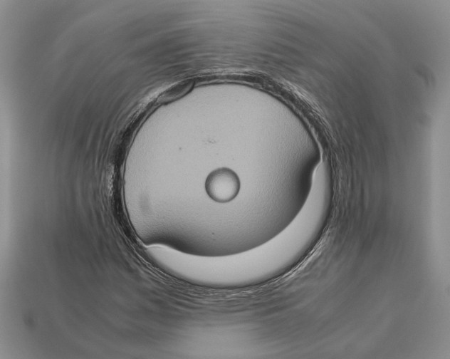 X0000112951161200909211148