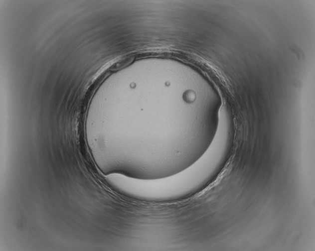 X0000112951162200909211148