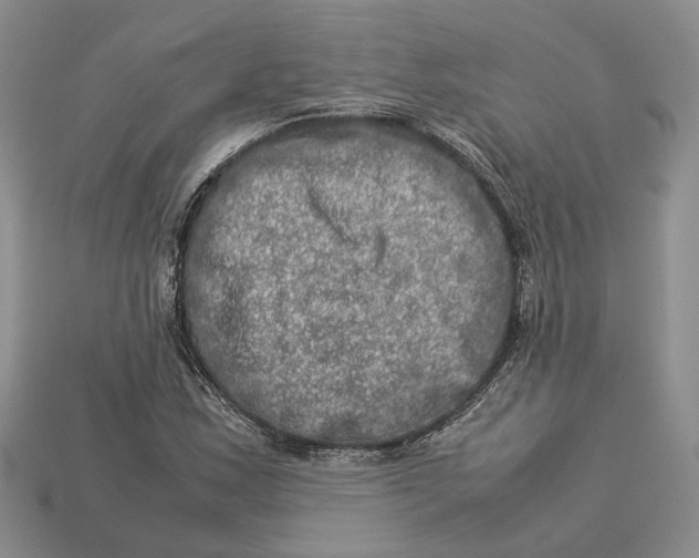 X0000112951163200909211148