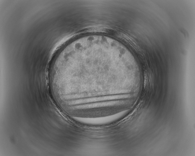 X0000112951164200909211148