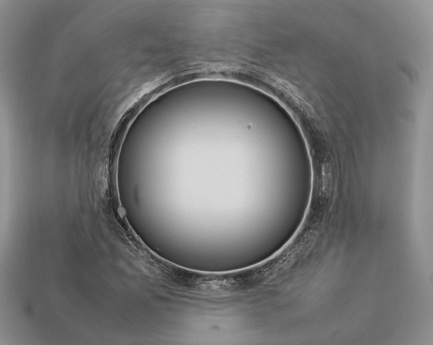 X0000112951165200909211148