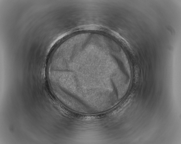 X0000112951166200909211148