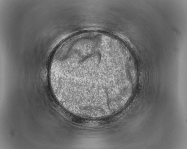 X0000112951167200909211148