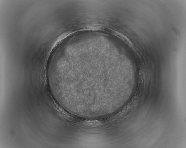 X0000112951168200909211148