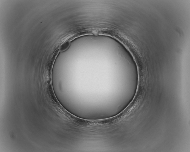 X0000112951169200909211148