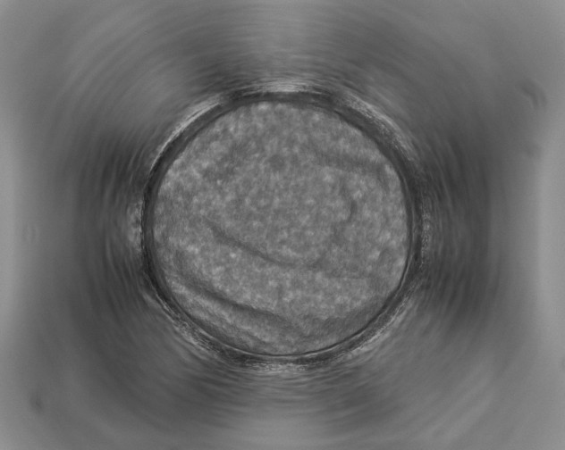 X0000112951170200909211148