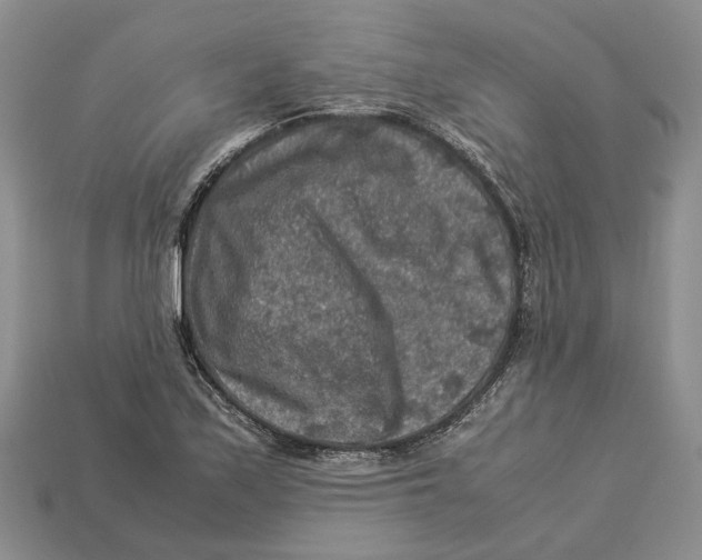 X0000112951171200909211148