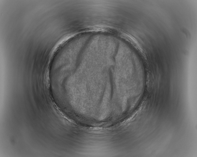 X0000112951172200909211148