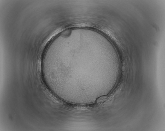 X0000112951173200909211148