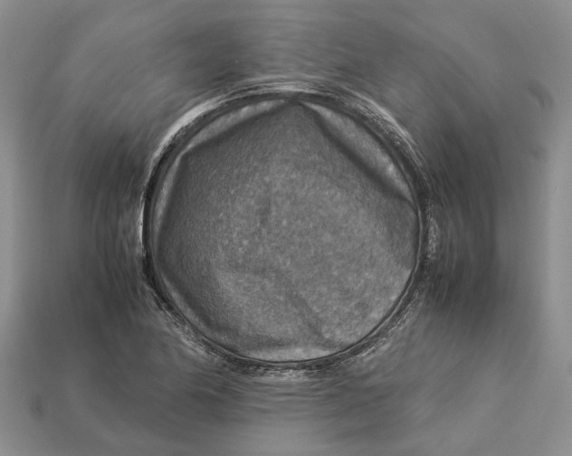 X0000112951174200909211148