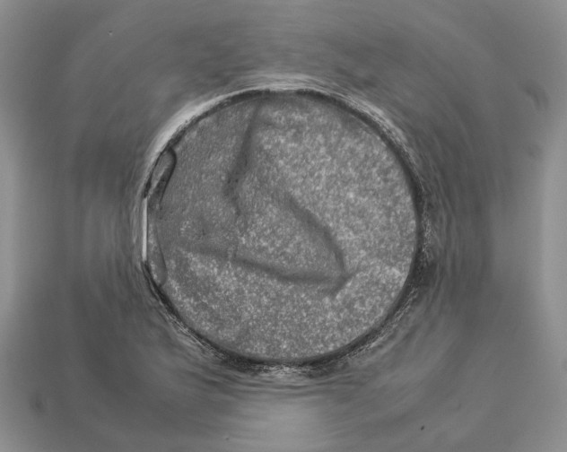 X0000112951175200909211148