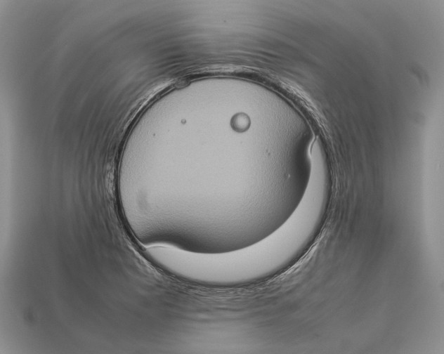 X0000112951177200909211148