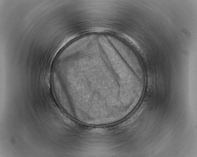 X0000112951178200909211148