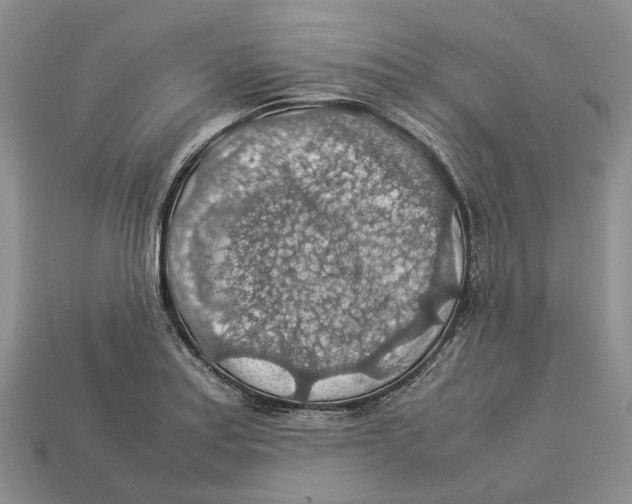 X0000112951179200909211148