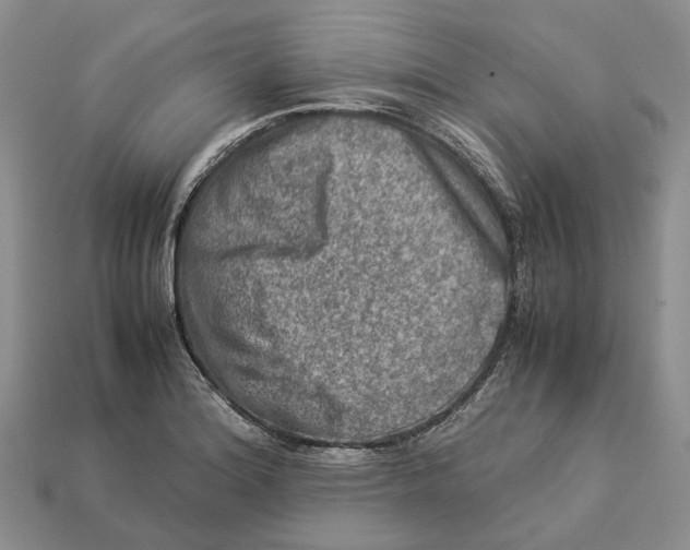 X0000112951180200909211148