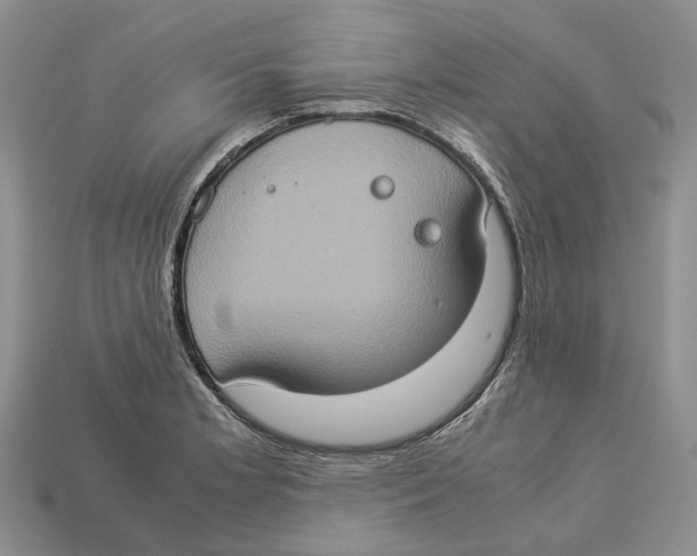 X0000112951181200909211148