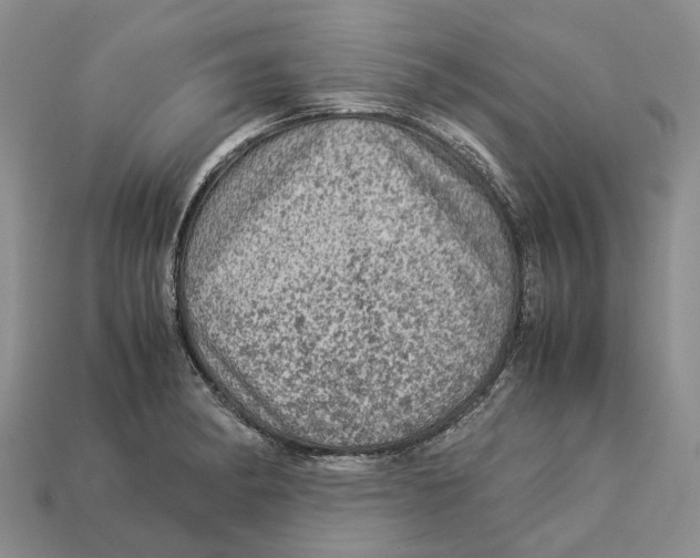 X0000112951182200909211148