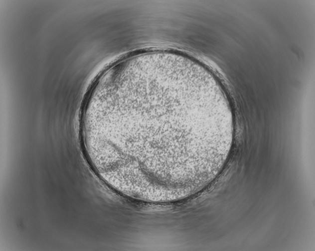 X0000112951183200909211148