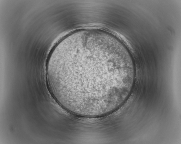 X0000112951184200909211148