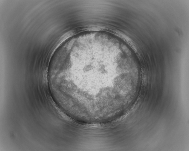 X0000112951186200909211148