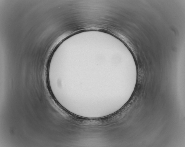 X0000112951187200909211148