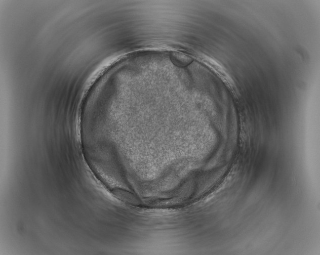 X0000112951188200909211148