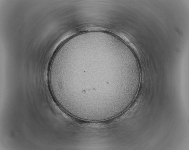 X0000112951189200909211148