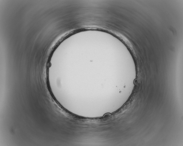 X0000112951191200909211148