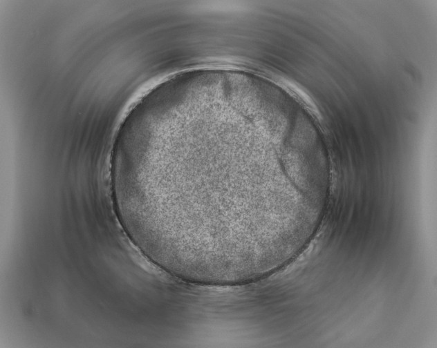 X0000112951192200909211148