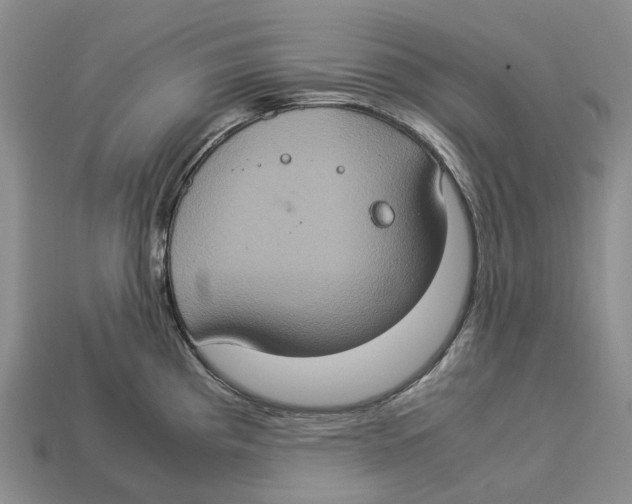 X0000112951193200909211148