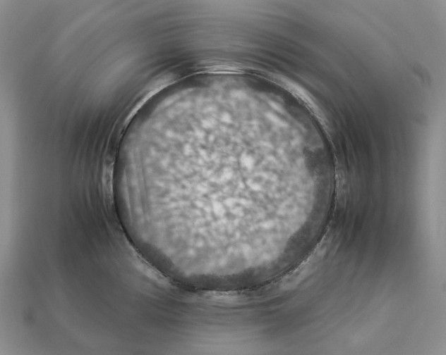 X0000112951194200909211148